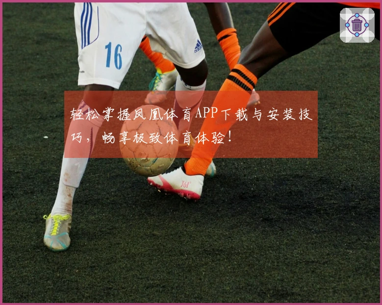 轻松掌握凤凰体育APP下载与安装技巧，畅享极致体育体验！